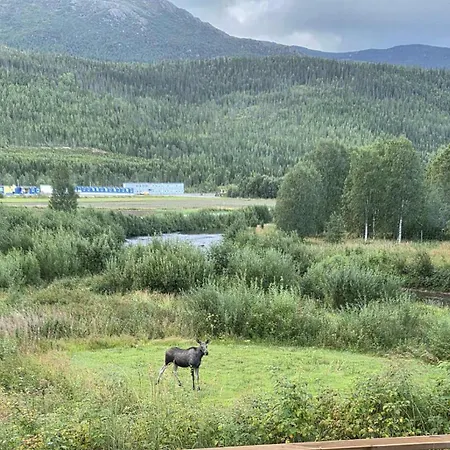 Svenningdal Camping * Svenningdal